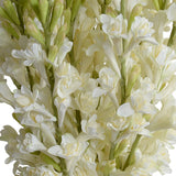 Tuberose Arrangement