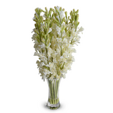 Tuberose Arrangement