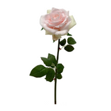 Soft Pink Rose Stem
