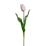 18" Tulip Stem
