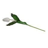18" Tulip Stem