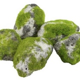Stones with Moss