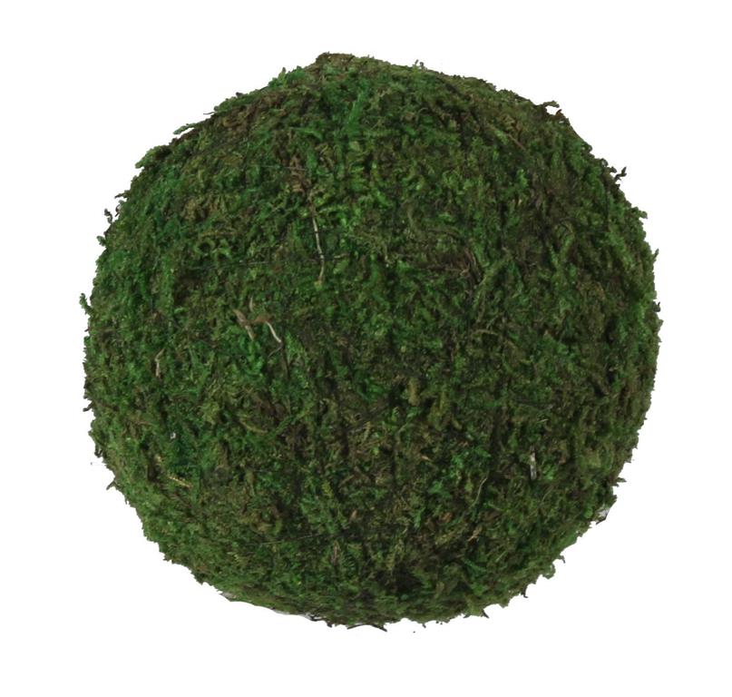 Moss Ball