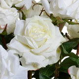 Rose Bouquet in Crystal Vase