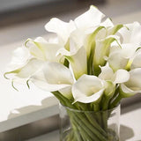 Calla Lillies in Glass Vase