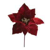 Red Poinsettia Stem