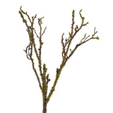 Branch with Moss 28"H