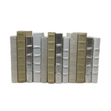 Antique Silver/Gold Raised Brands Books