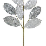 Magnolia Leaf Stem