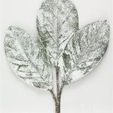 Snowy Magnolia Leaf Pick