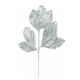 Snowy Magnolia Leaf Spray