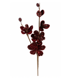 Burgundy Magnolia Spray