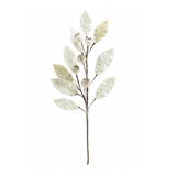 30" Pearl Magnolia Leaf Spray