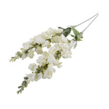 Snapdragon Spray