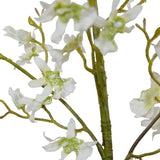 Brassia Spider Orchid Spray, 48"