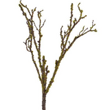 Branch with Moss 28"H