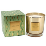 Signature AG Boxed Candle - Siberian Fir