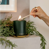 Winter Fir Candle