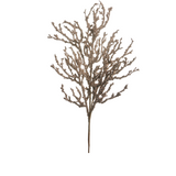 Champagne Beaded Coral Spray