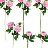 Fuschia Pink Peony Stems