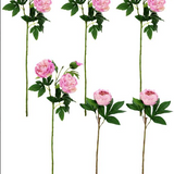 Fuschia Pink Peony Stems