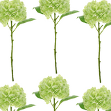 Hydrangea Stems