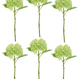 Hydrangea Stems