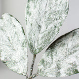 Snowy Magnolia Leaf Pick