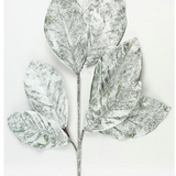 Snowy Magnolia Leaf Spray