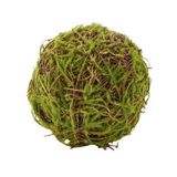 Moss Ball with Vines