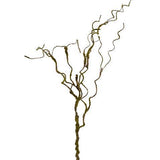 Mossy Twig Spray