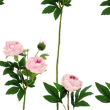 Soft Pink Peony Stems