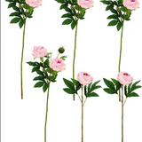 Soft Pink Peony Stems