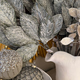 Snowy Magnolia Leaf Spray