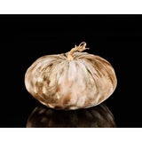 Velvet Pumpkin in Coffee 8.25 Diameter
